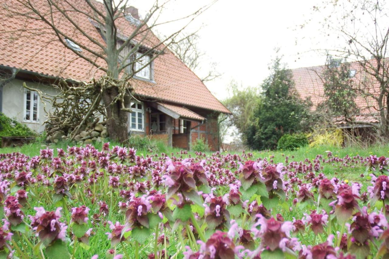 Ferienhof Rauchhaus Karft Ngoại thất bức ảnh